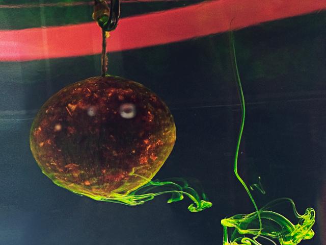 calitate produs+experienta=rezultat - aditivdipsenzorneon100ml5.jpg